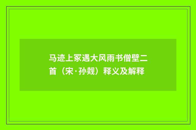 马迹上冢遇大风雨书僧壁二首（宋·孙觌）释义及解释