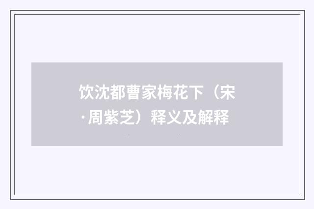 饮沈都曹家梅花下（宋·周紫芝）释义及解释