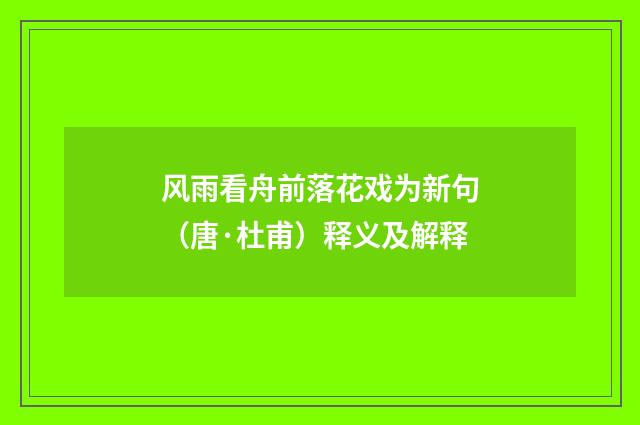 风雨看舟前落花戏为新句（唐·杜甫）释义及解释