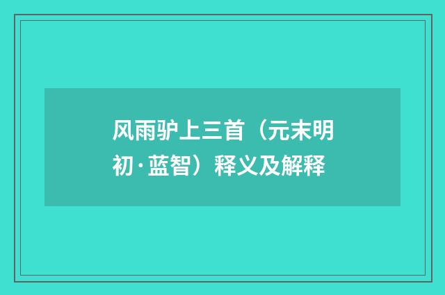 风雨驴上三首（元末明初·蓝智）释义及解释