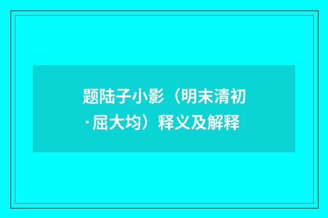 题陆子小影（明末清初·屈大均）释义及解释