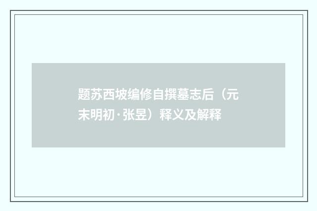 题苏西坡编修自撰墓志后（元末明初·张昱）释义及解释