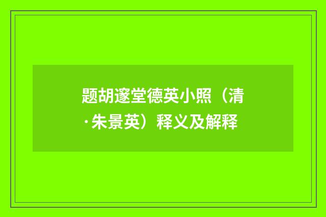 题胡邃堂德英小照（清·朱景英）释义及解释