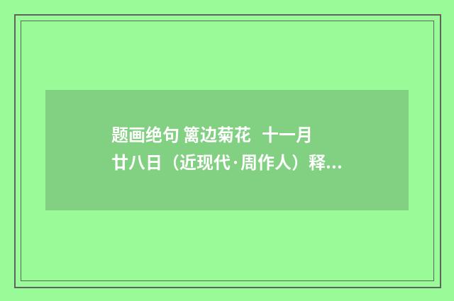 题画绝句 篱边菊花 十一月廿八日（近现代·周作人）释义及解释