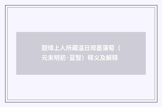 题璋上人所藏温日观墨蒲萄（元末明初·蓝智）释义及解释