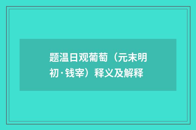 题温日观葡萄（元末明初·钱宰）释义及解释