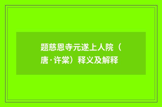 题慈恩寺元遂上人院（唐·许棠）释义及解释