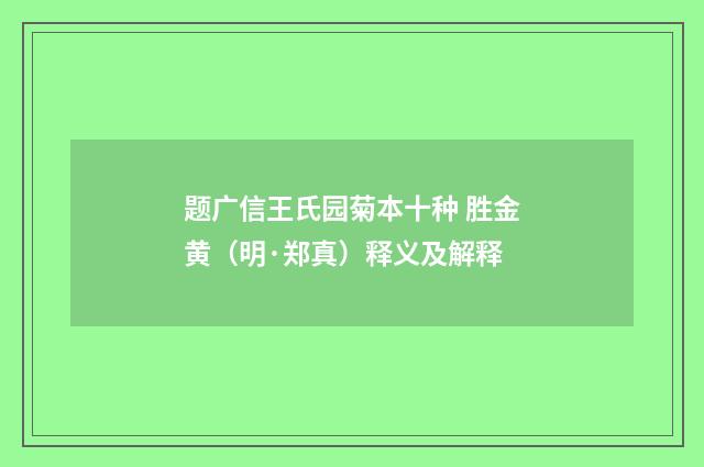 题广信王氏园菊本十种 胜金黄（明·郑真）释义及解释