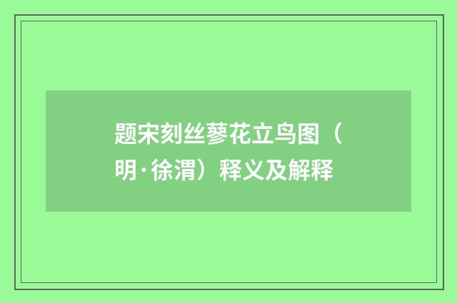 题宋刻丝蓼花立鸟图（明·徐渭）释义及解释