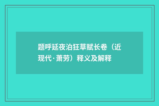 题呼延夜泊狂草赋长卷（近现代·萧劳）释义及解释