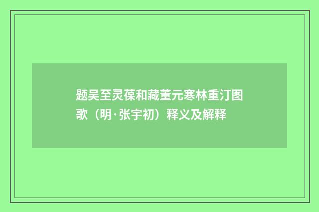 题吴至灵葆和藏董元寒林重汀图歌（明·张宇初）释义及解释