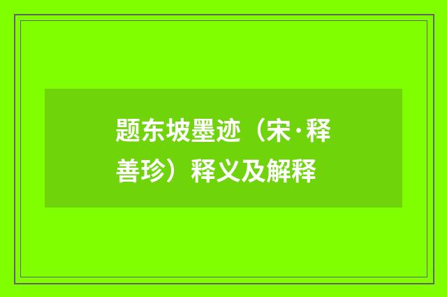 题东坡墨迹（宋·释善珍）释义及解释