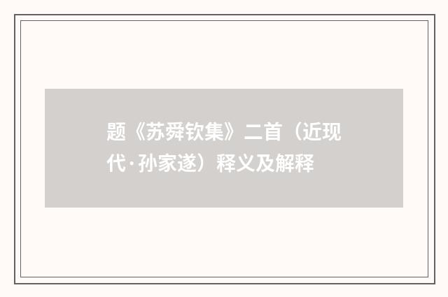 题《苏舜钦集》二首（近现代·孙家遂）释义及解释
