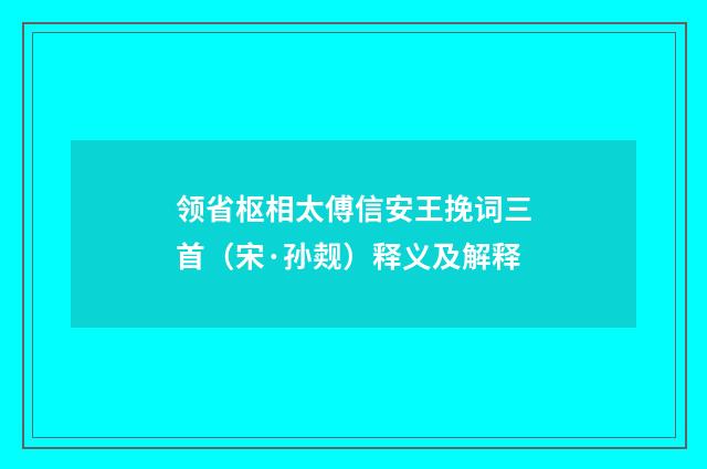 领省枢相太傅信安王挽词三首（宋·孙觌）释义及解释