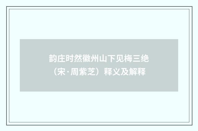 韵庄时然徽州山下见梅三绝（宋·周紫芝）释义及解释