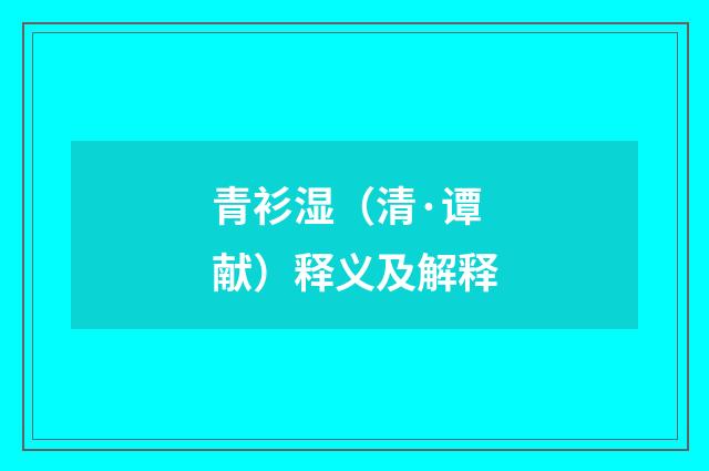 青衫湿（清·谭献）释义及解释