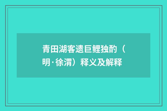 青田湖客遗巨鲤独酌（明·徐渭）释义及解释