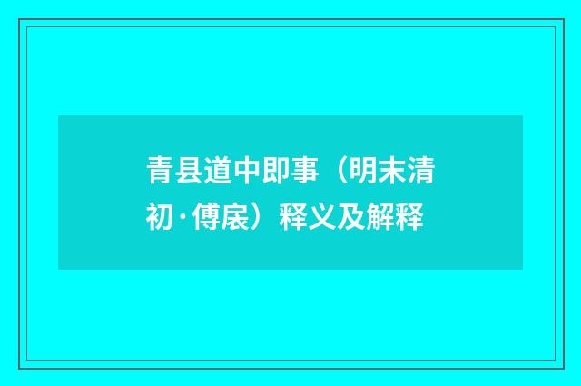 青县道中即事（明末清初·傅扆）释义及解释