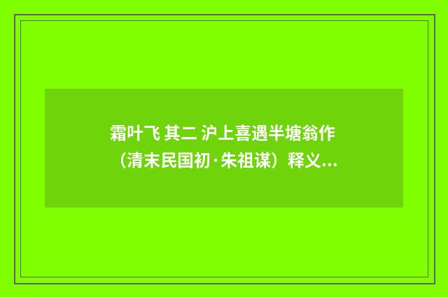 霜叶飞 其二 沪上喜遇半塘翁作（清末民国初·朱祖谋）释义及解释