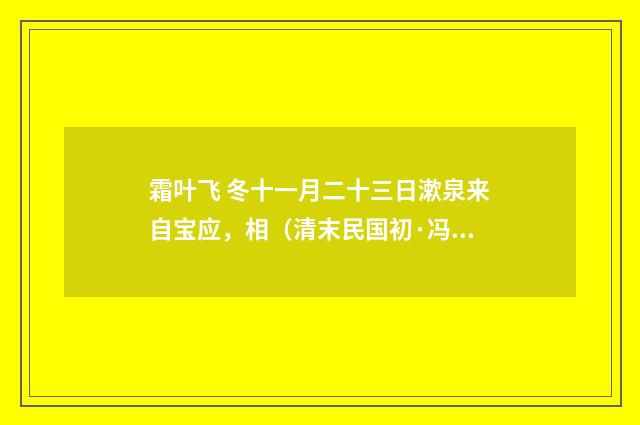 霜叶飞 冬十一月二十三日漱泉来自宝应，相（清末民国初·冯煦）释义及解释