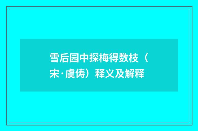 雪后园中探梅得数枝（宋·虞俦）释义及解释