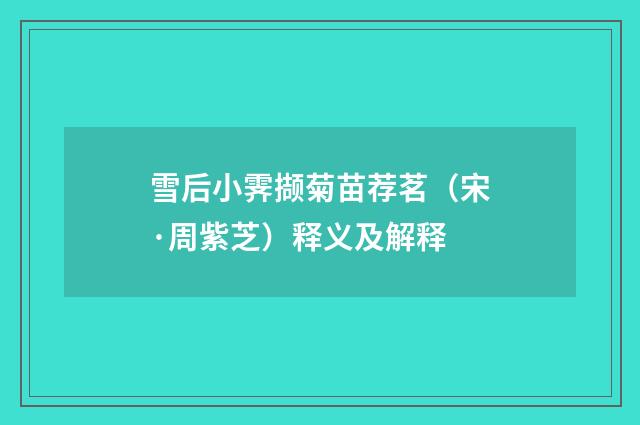 雪后小霁撷菊苗荐茗（宋·周紫芝）释义及解释