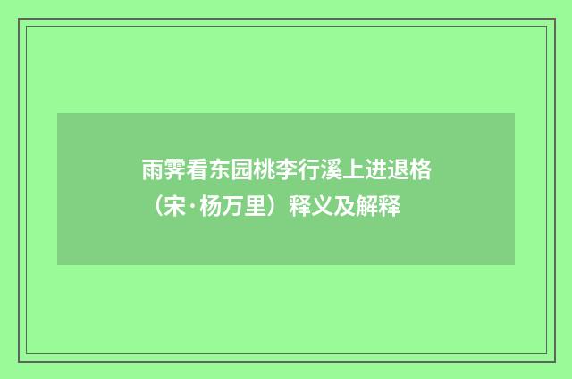雨霁看东园桃李行溪上进退格（宋·杨万里）释义及解释