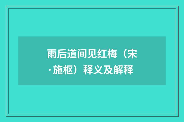 雨后道间见红梅（宋·施枢）释义及解释