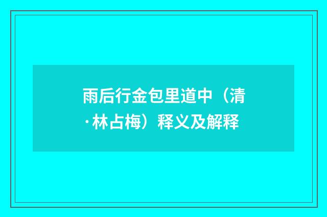 雨后行金包里道中（清·林占梅）释义及解释