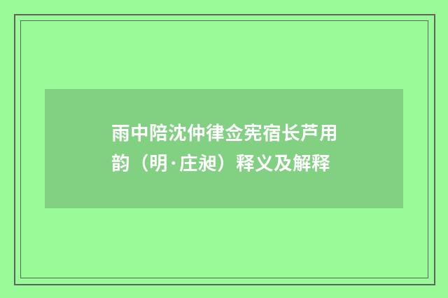 雨中陪沈仲律佥宪宿长芦用韵（明·庄昶）释义及解释