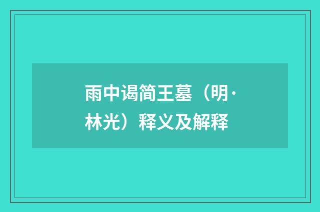 雨中谒简王墓（明·林光）释义及解释