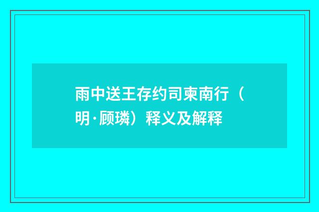 雨中送王存约司柬南行（明·顾璘）释义及解释