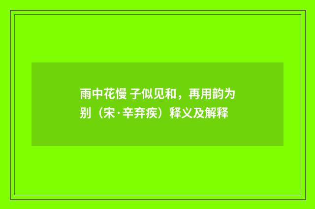 雨中花慢 子似见和，再用韵为别（宋·辛弃疾）释义及解释