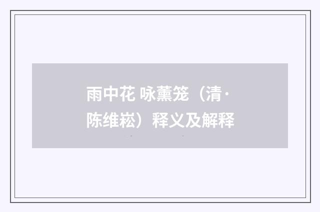 雨中花 咏薰笼（清·陈维崧）释义及解释