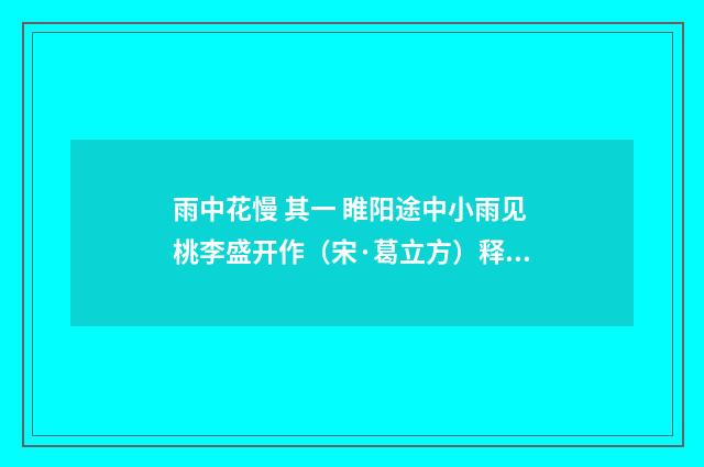 雨中花慢 其一 睢阳途中小雨见桃李盛开作（宋·葛立方）释义及解释