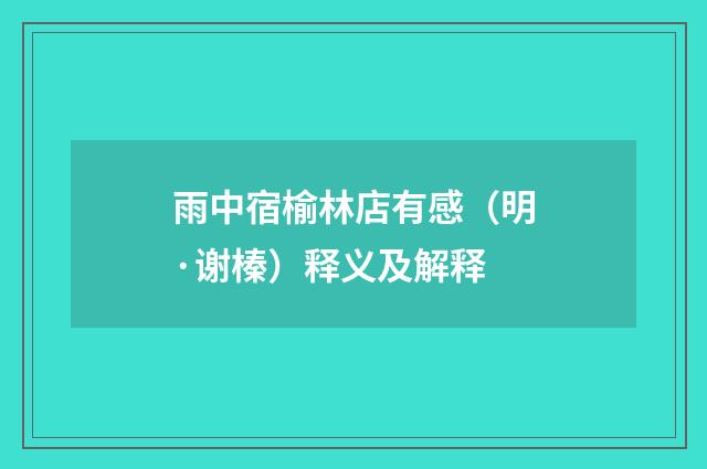 雨中宿榆林店有感（明·谢榛）释义及解释