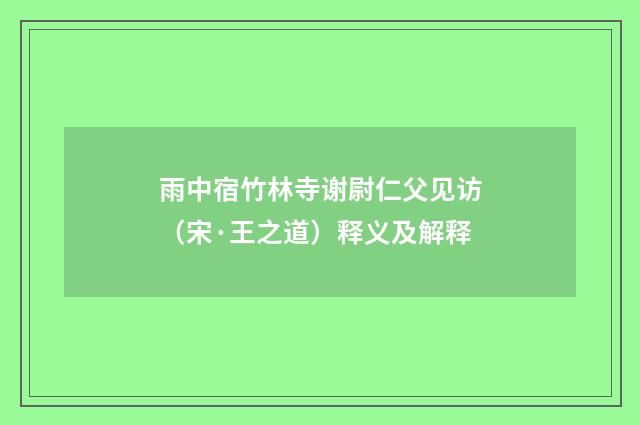 雨中宿竹林寺谢尉仁父见访（宋·王之道）释义及解释