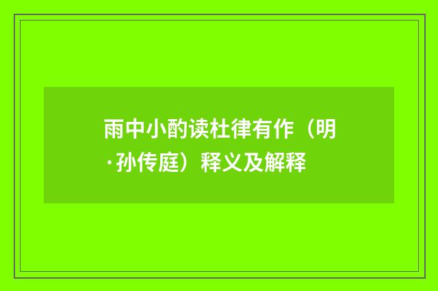 雨中小酌读杜律有作（明·孙传庭）释义及解释
