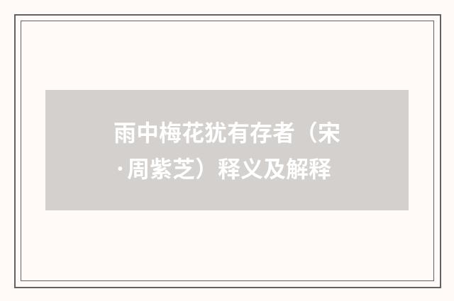 雨中梅花犹有存者（宋·周紫芝）释义及解释