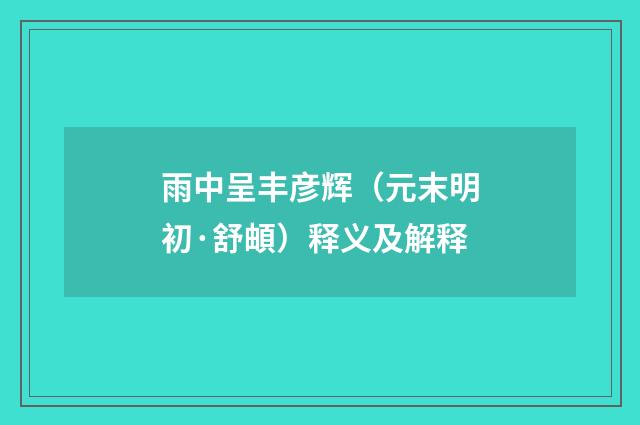雨中呈丰彦辉（元末明初·舒頔）释义及解释