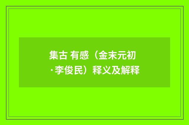 集古 有感（金末元初·李俊民）释义及解释