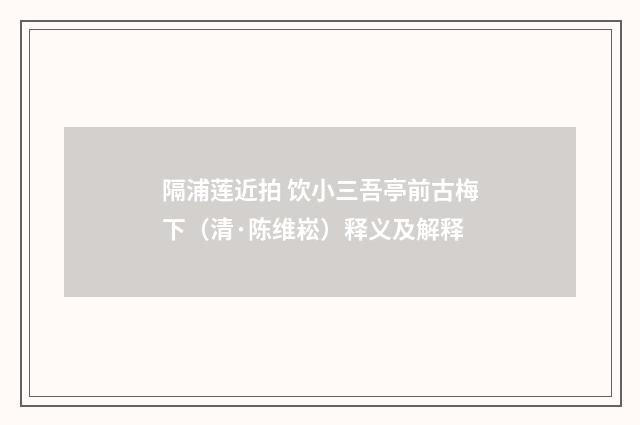 隔浦莲近拍 饮小三吾亭前古梅下（清·陈维崧）释义及解释