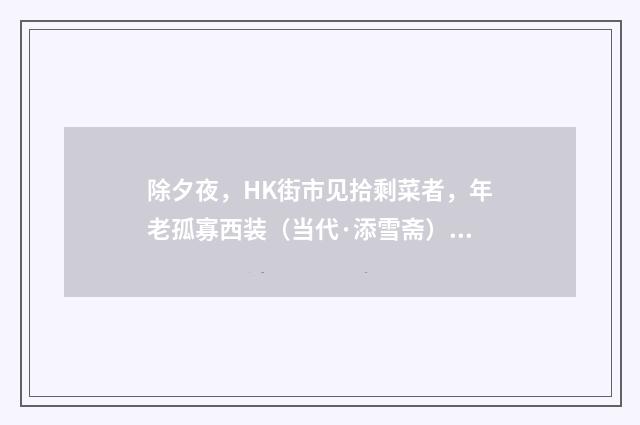 除夕夜，HK街市见拾剩菜者，年老孤寡西装（当代·添雪斋）释义及解释
