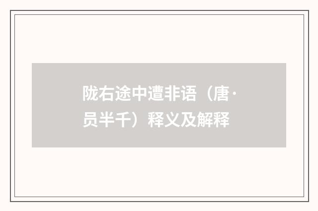 陇右途中遭非语（唐·员半千）释义及解释