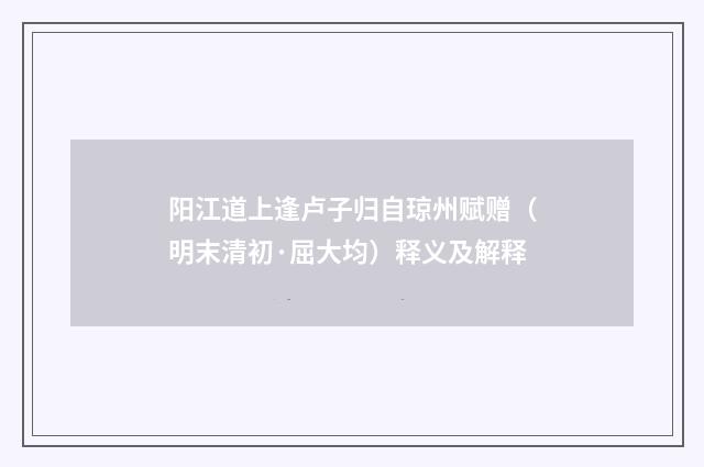 阳江道上逢卢子归自琼州赋赠（明末清初·屈大均）释义及解释