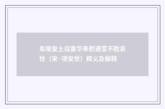 阜陵复土诣重华奉慰遇雪不胜哀怆（宋·项安世）释义及解释