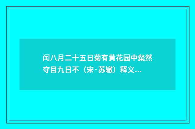闰八月二十五日菊有黄花园中粲然夺目九日不（宋·苏辙）释义及解释