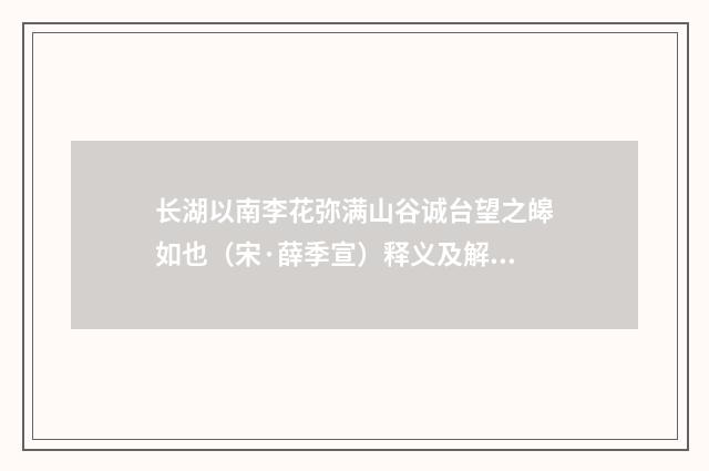 长湖以南李花弥满山谷诚台望之皞如也（宋·薛季宣）释义及解释