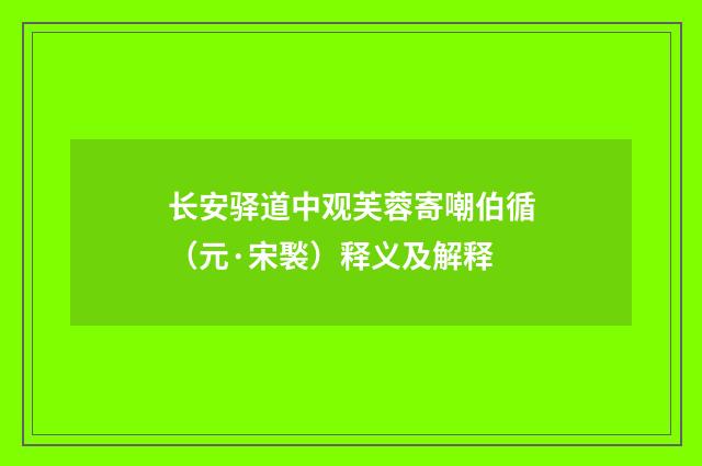 长安驿道中观芙蓉寄嘲伯循（元·宋褧）释义及解释