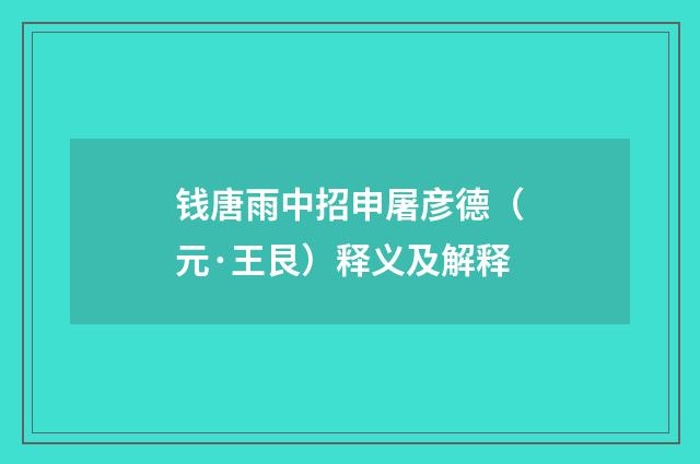 钱唐雨中招申屠彦德（元·王艮）释义及解释